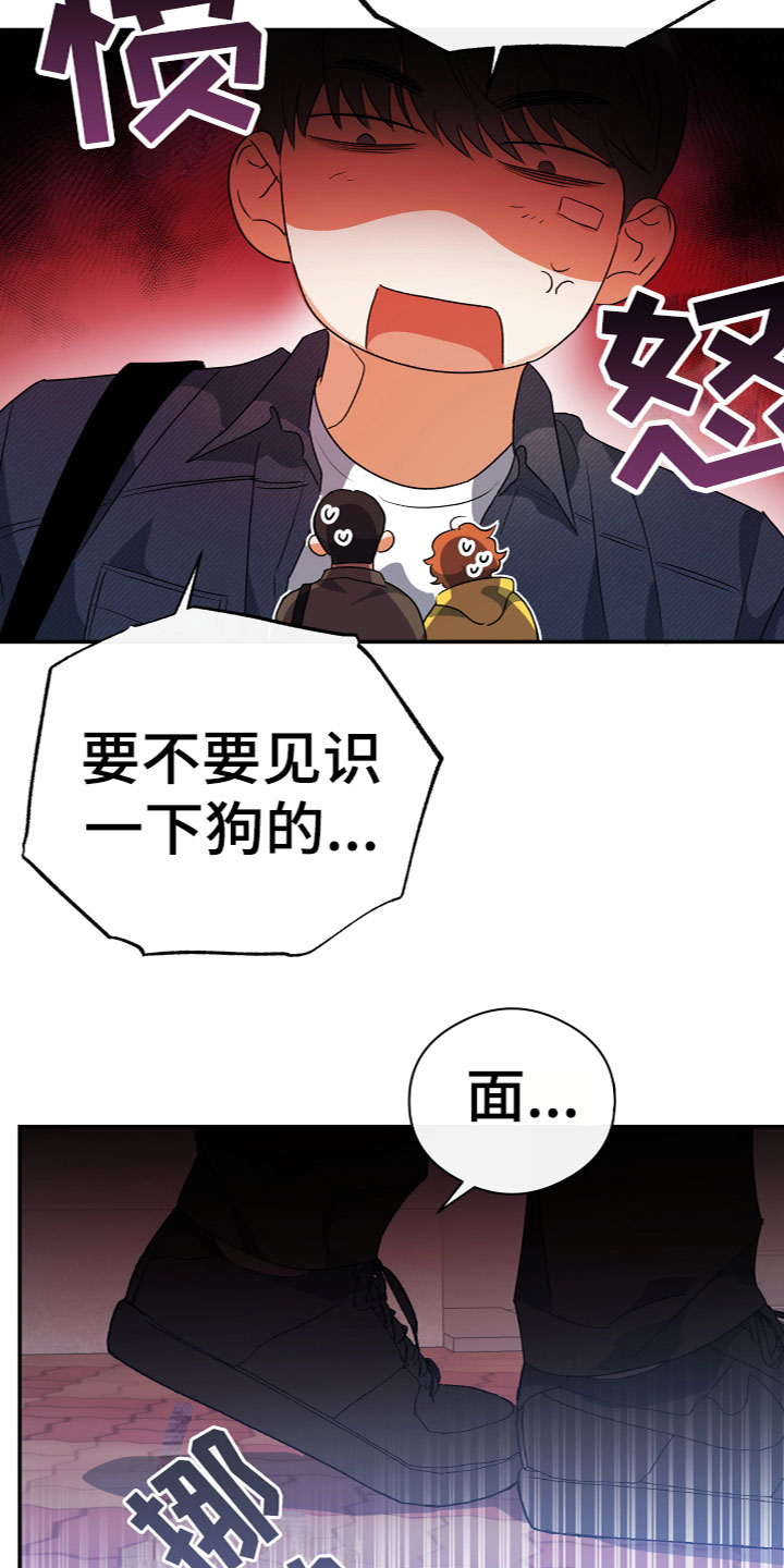 第15章：又回来了5