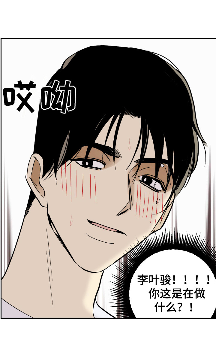 第14章：盯着看18