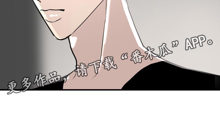 第37章：挑衅16