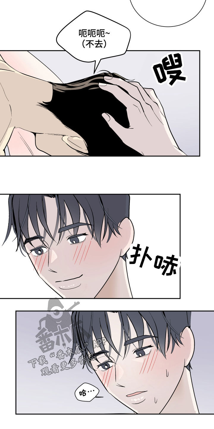 第24章：好消息15