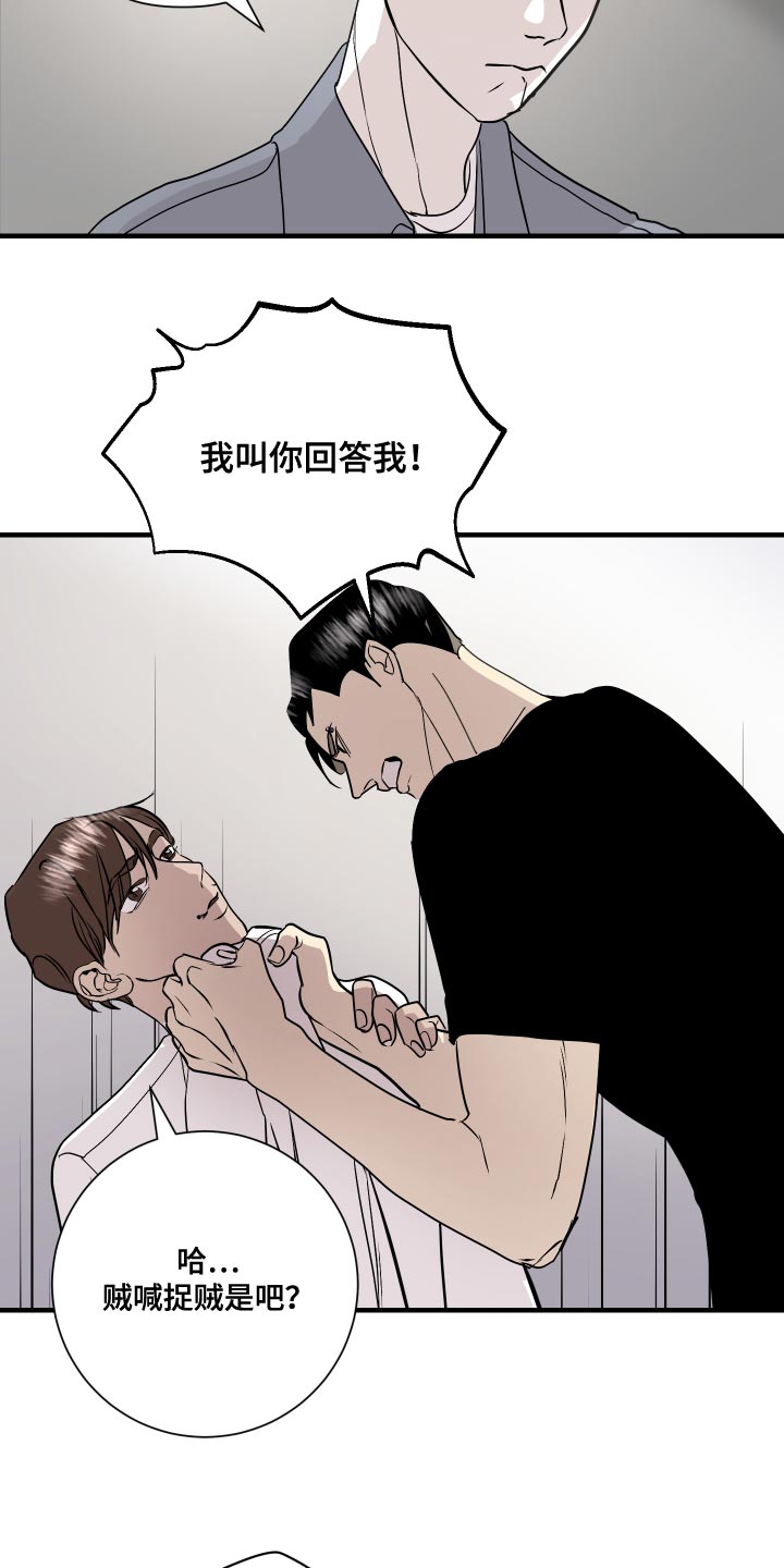 第36章：贼喊捉贼19