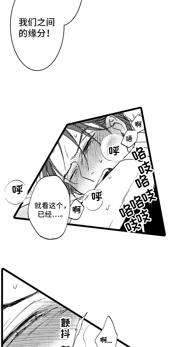 第14章：我们的缘分13