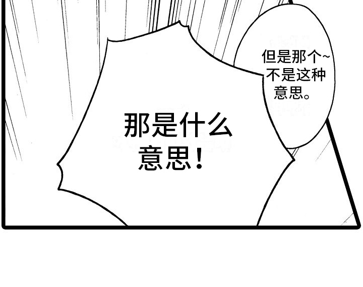 第23章：想法16