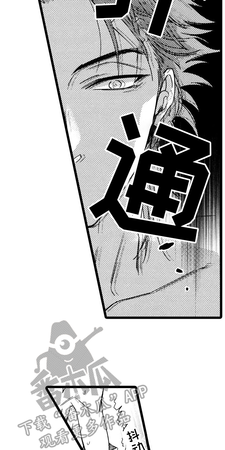 第17章：感受10