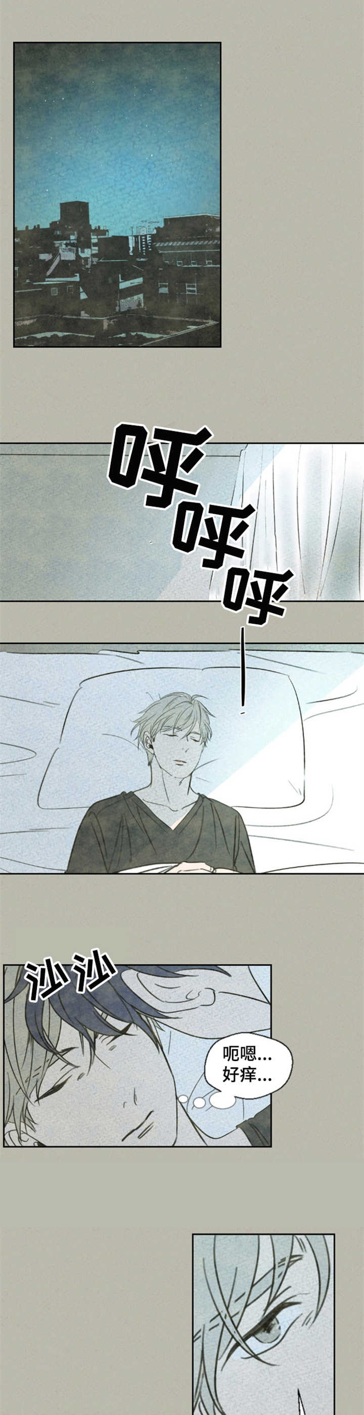 第1章：鲤鱼5