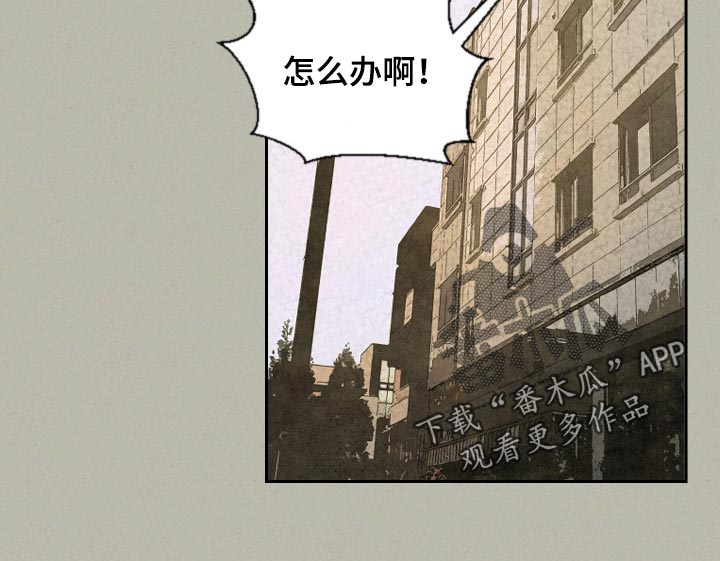 第41章：手链的事11