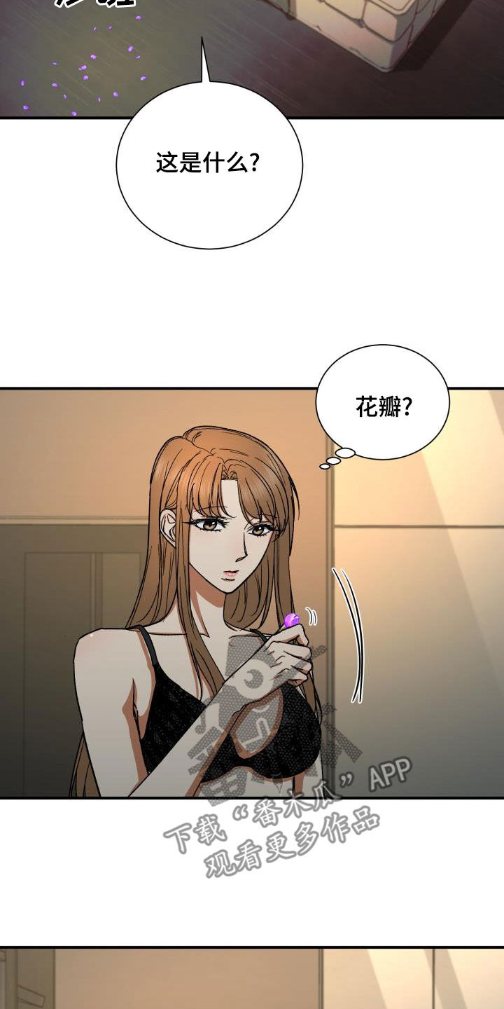 第41章：8年前5