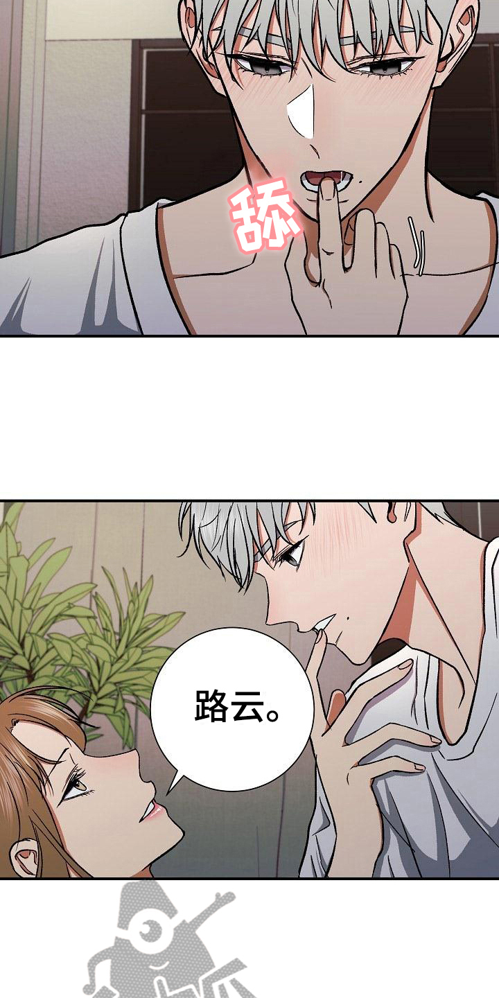 第19章：肆意4