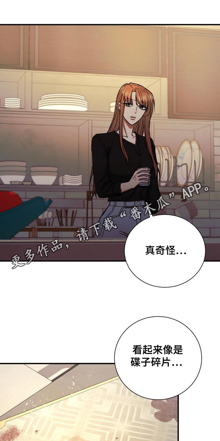 第41章：8年前0