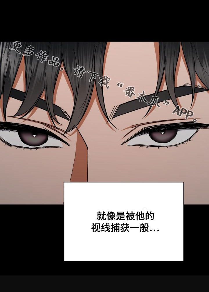 第43章：视线24