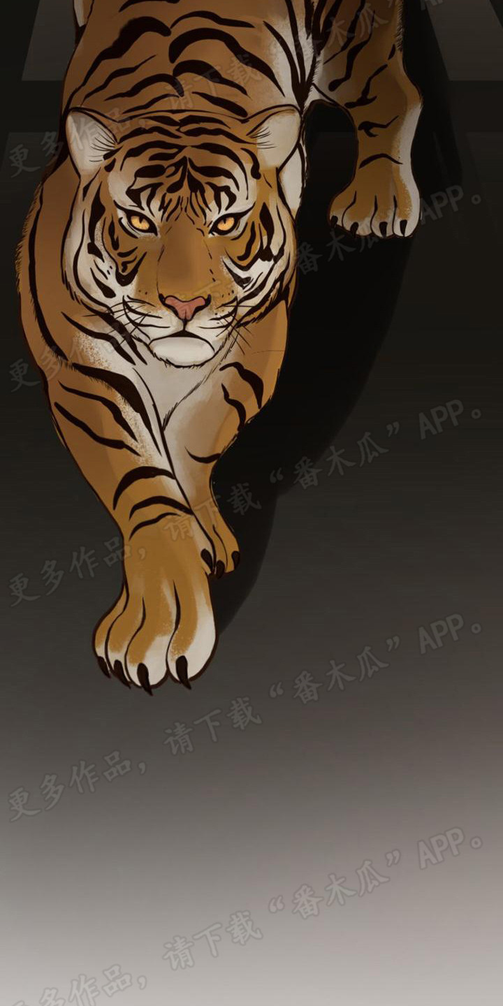 第11章：反驳7
