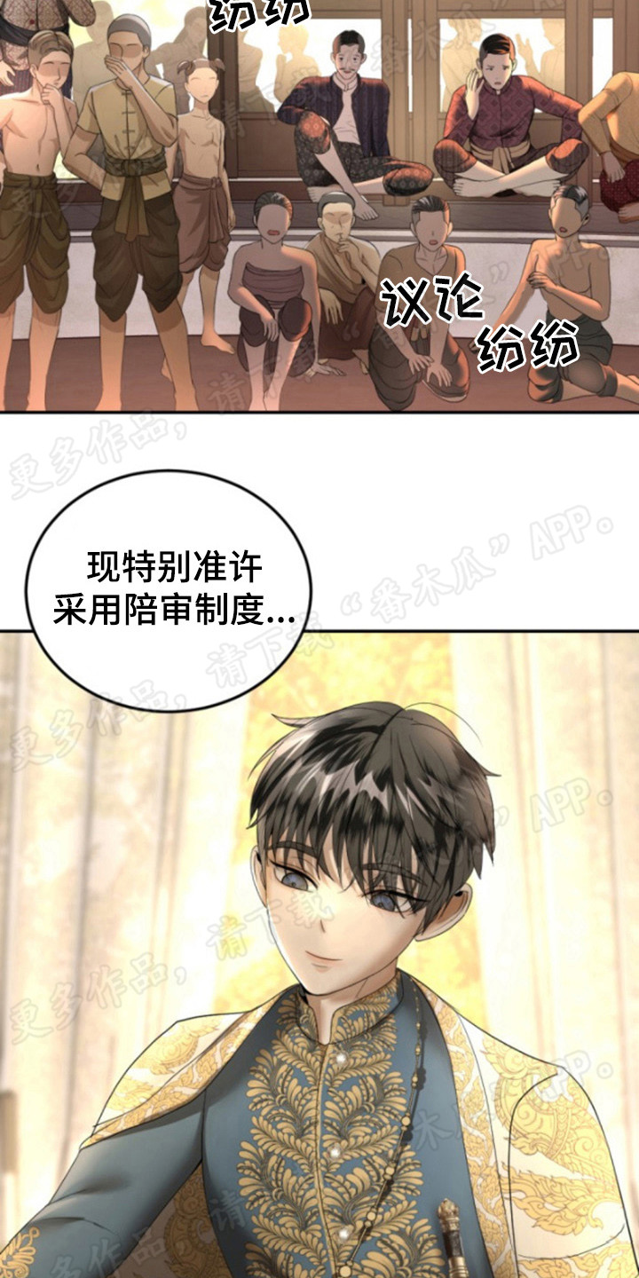 第55章：仪式当天21