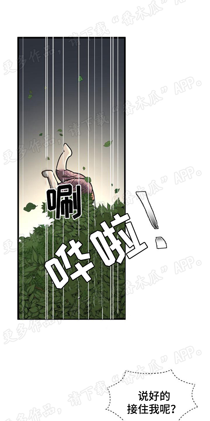第17章：逃跑12