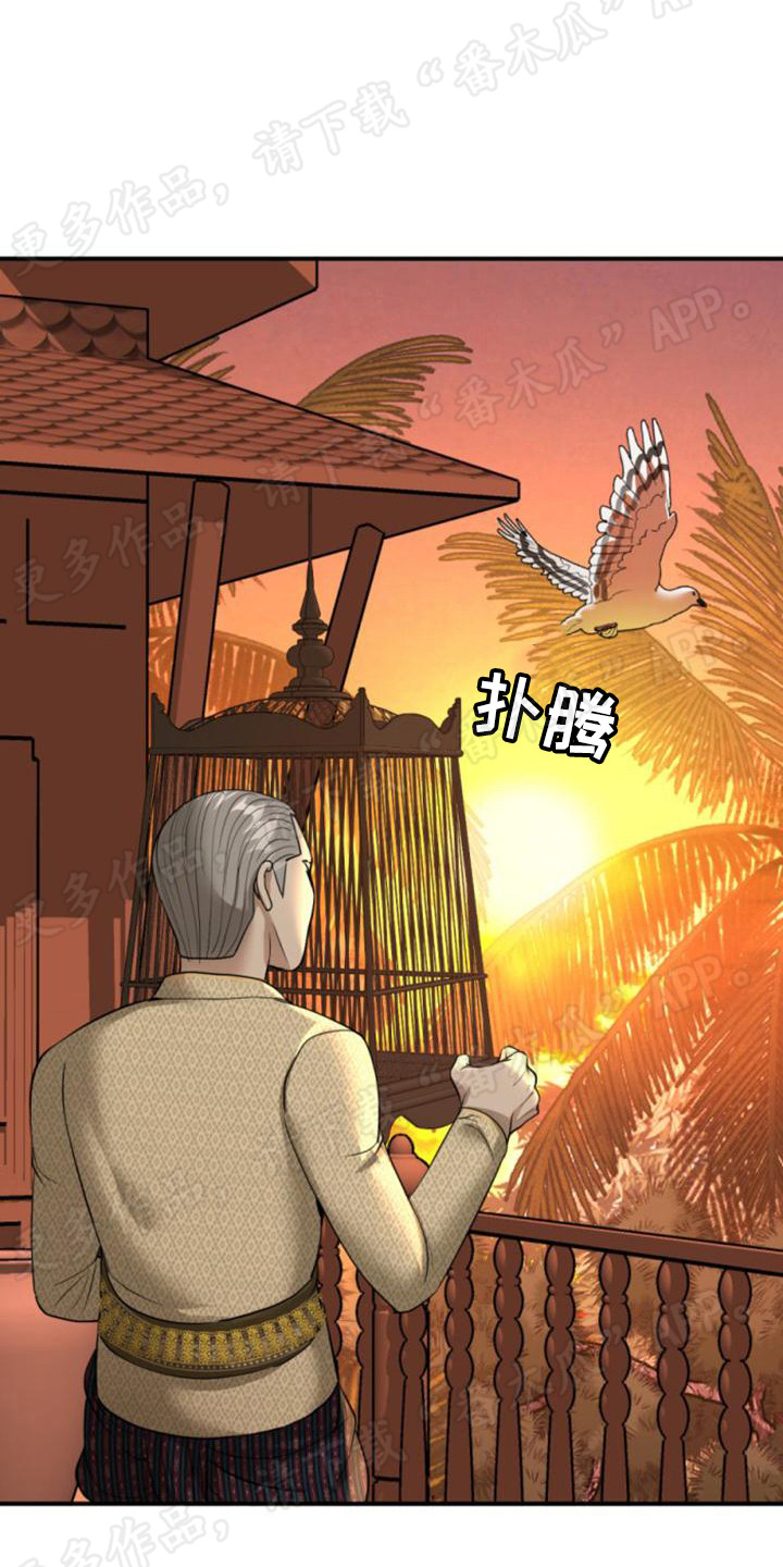 第29章：报信12