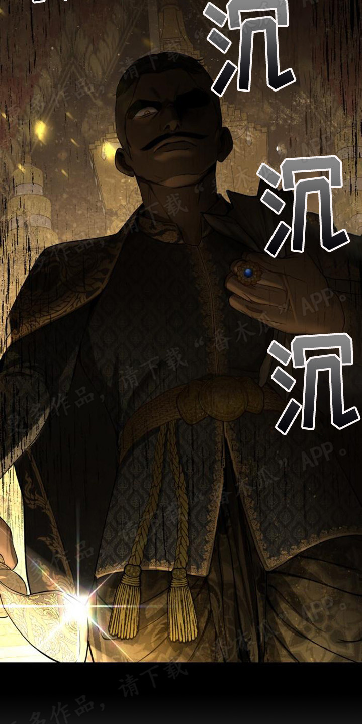 第69章：尘埃落定25