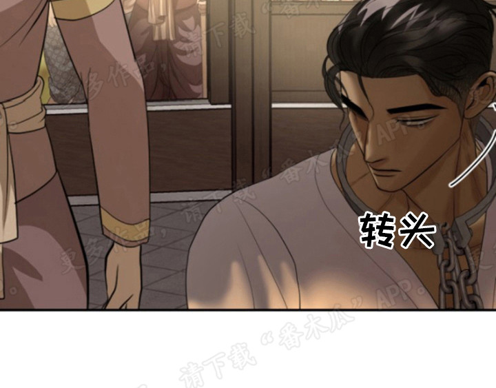 第55章：仪式当天19