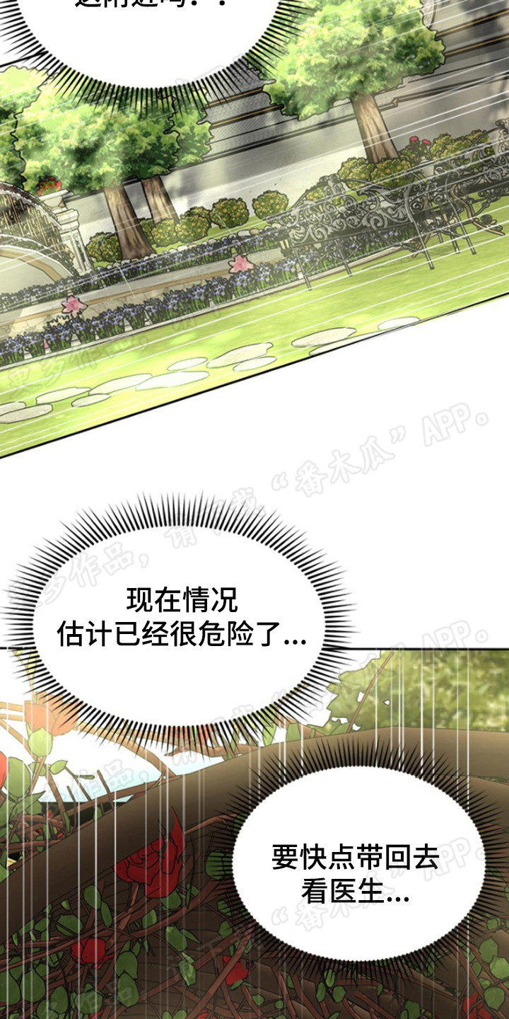 第37章：闯入庭院18