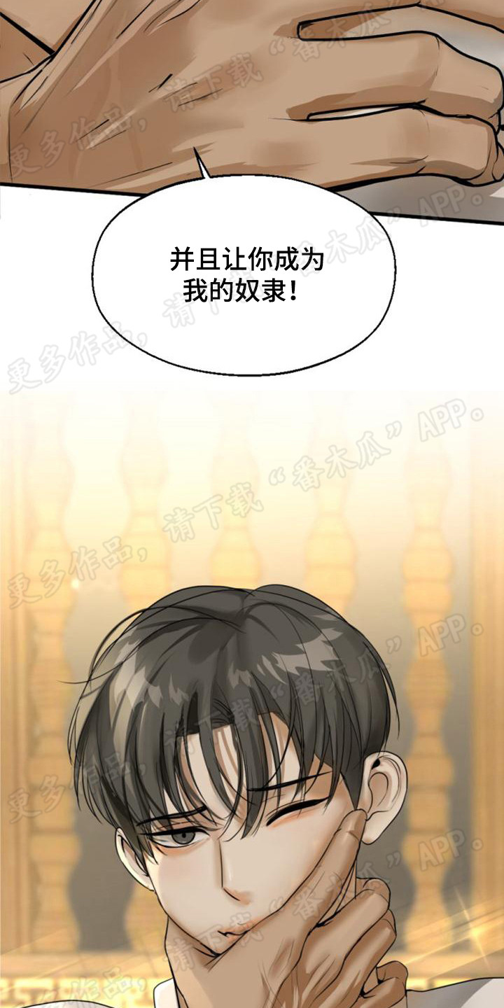 第15章：喜怒无常16