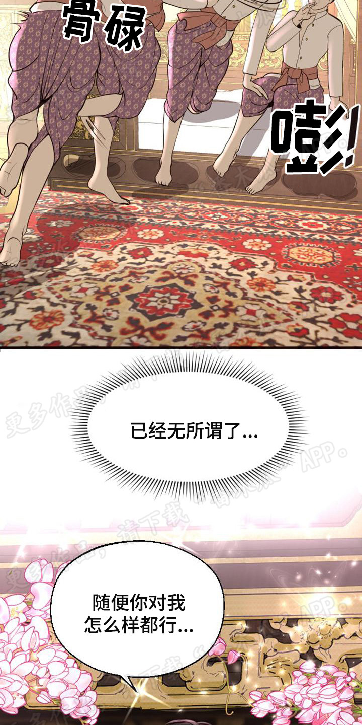 第13章：强行带走19