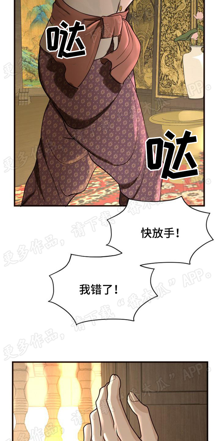 第13章：强行带走17