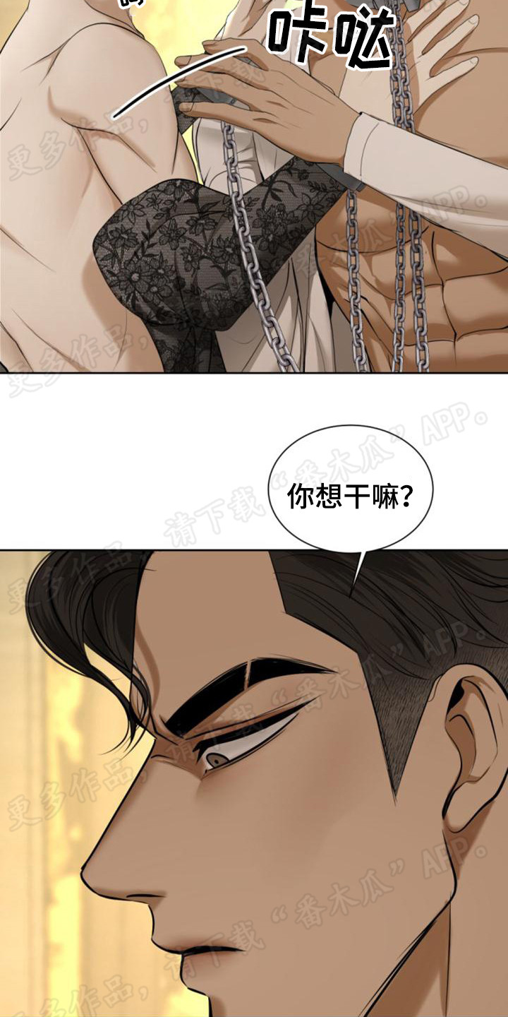 第72章：情感流露16