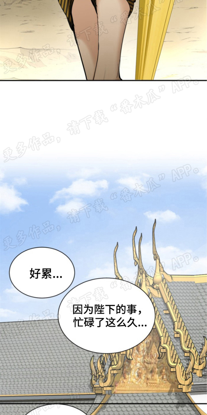 第33章：下定决心21