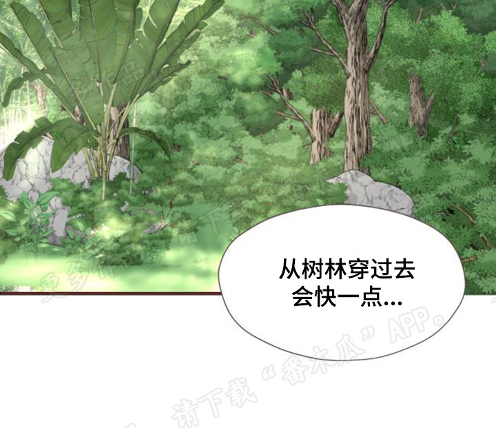 第5章：挥金如土8