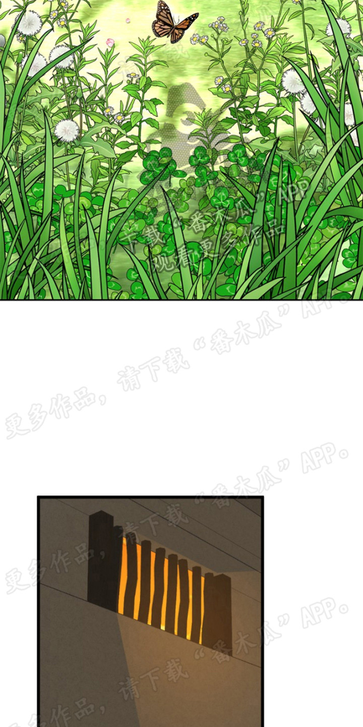 第39章：暗示19