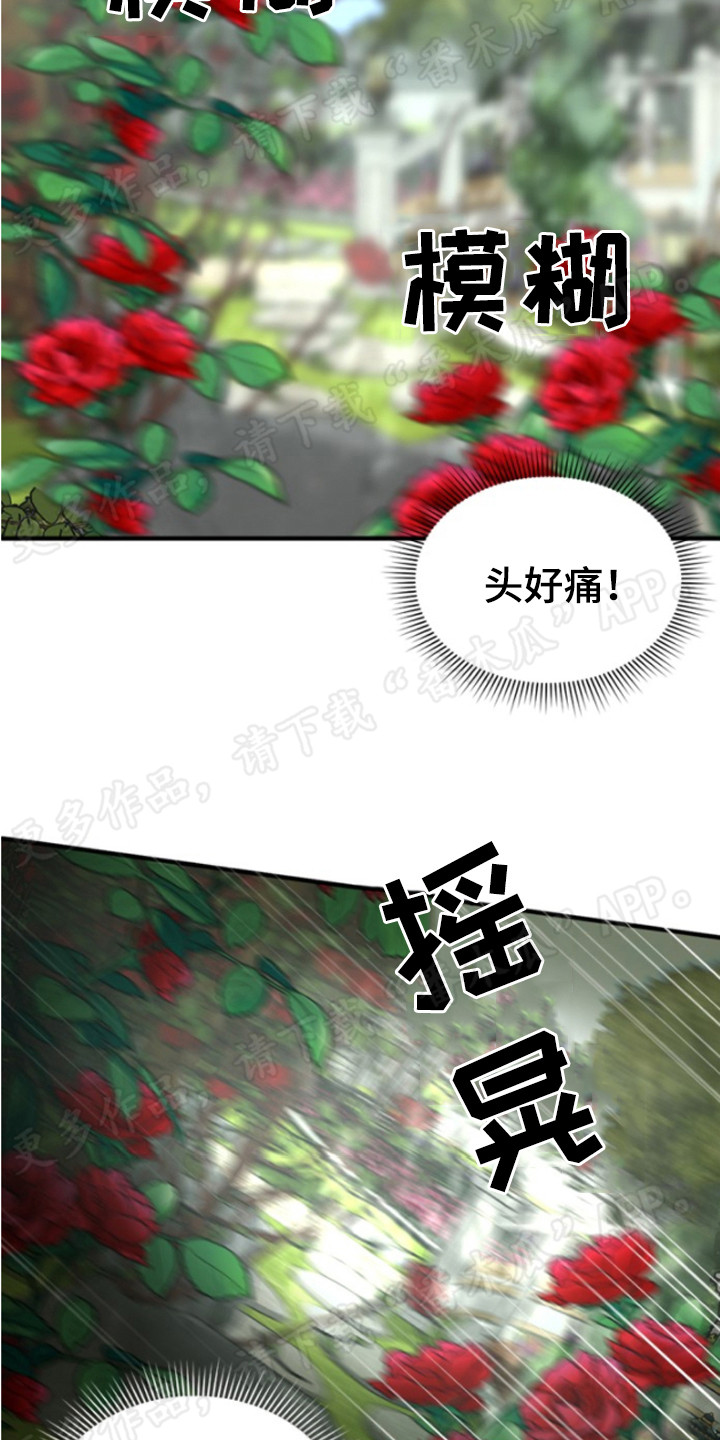 第36章：毒素3