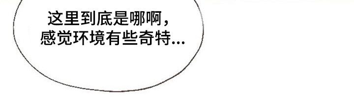 第1章：娱乐圈女王22