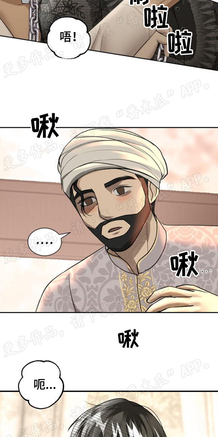 第60章：豁出去了19