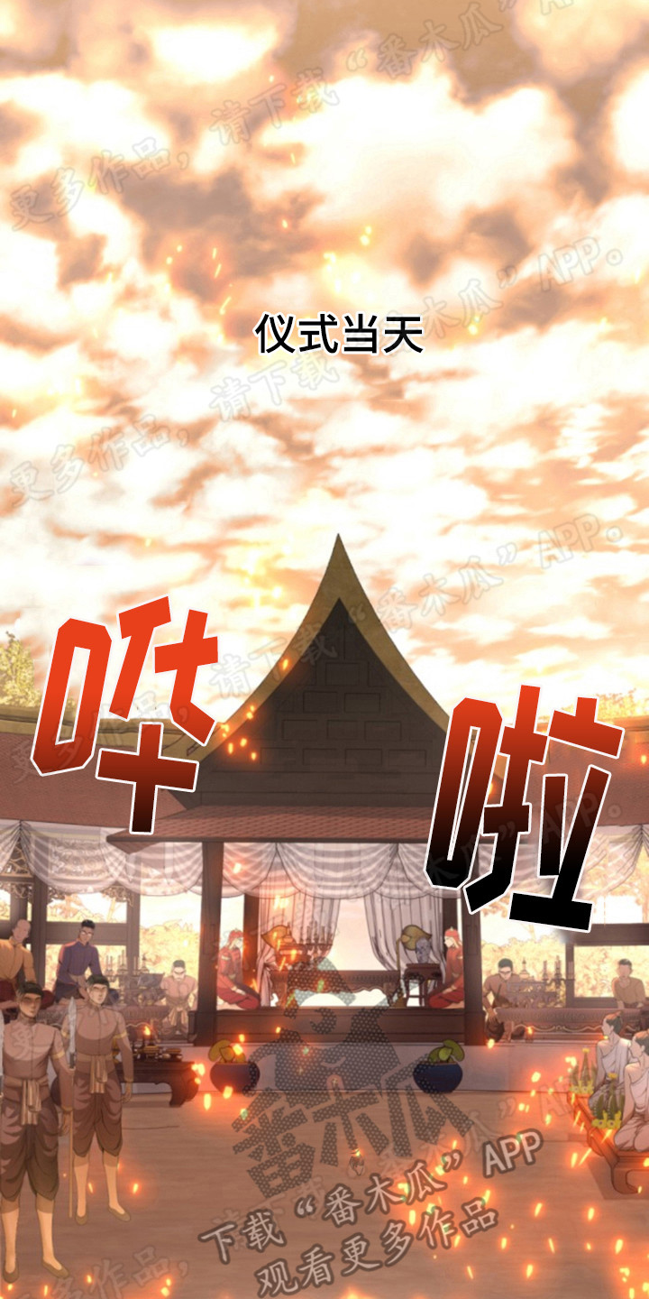 第55章：仪式当天6