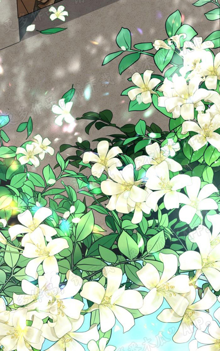 第50章：地位提升14