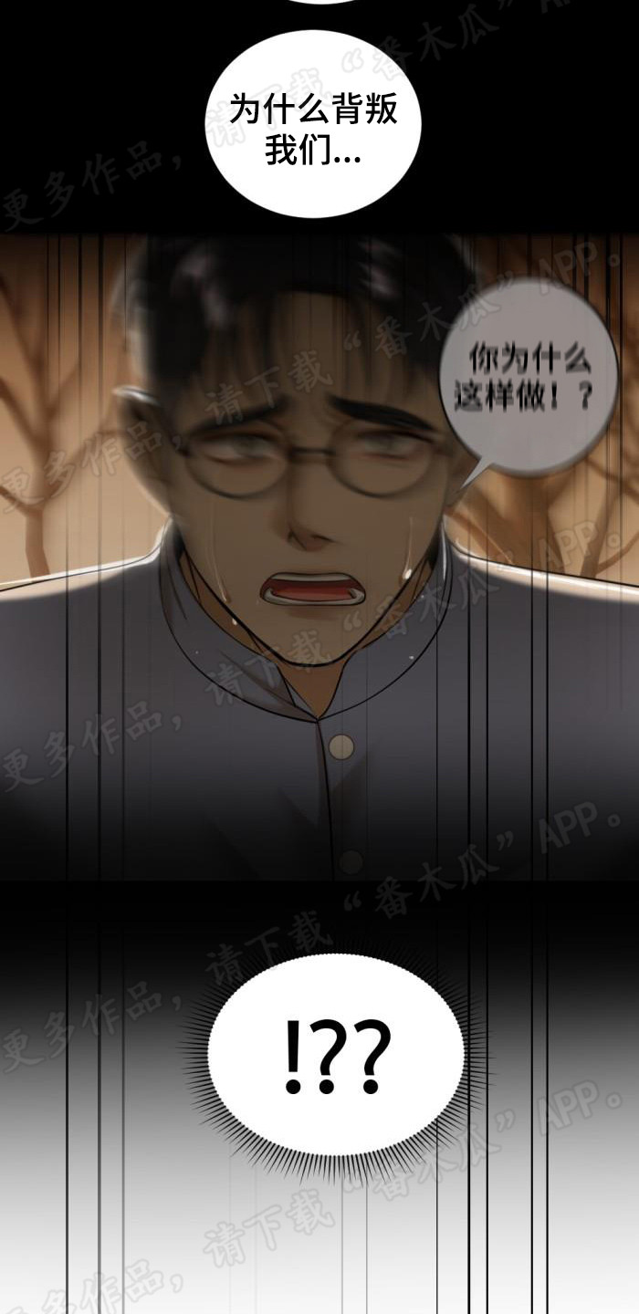 第80章：脑海中的影像13