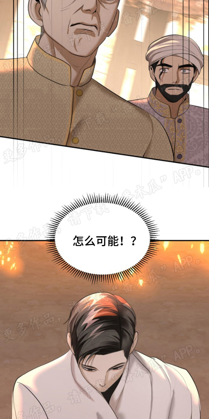 第56章：证人19