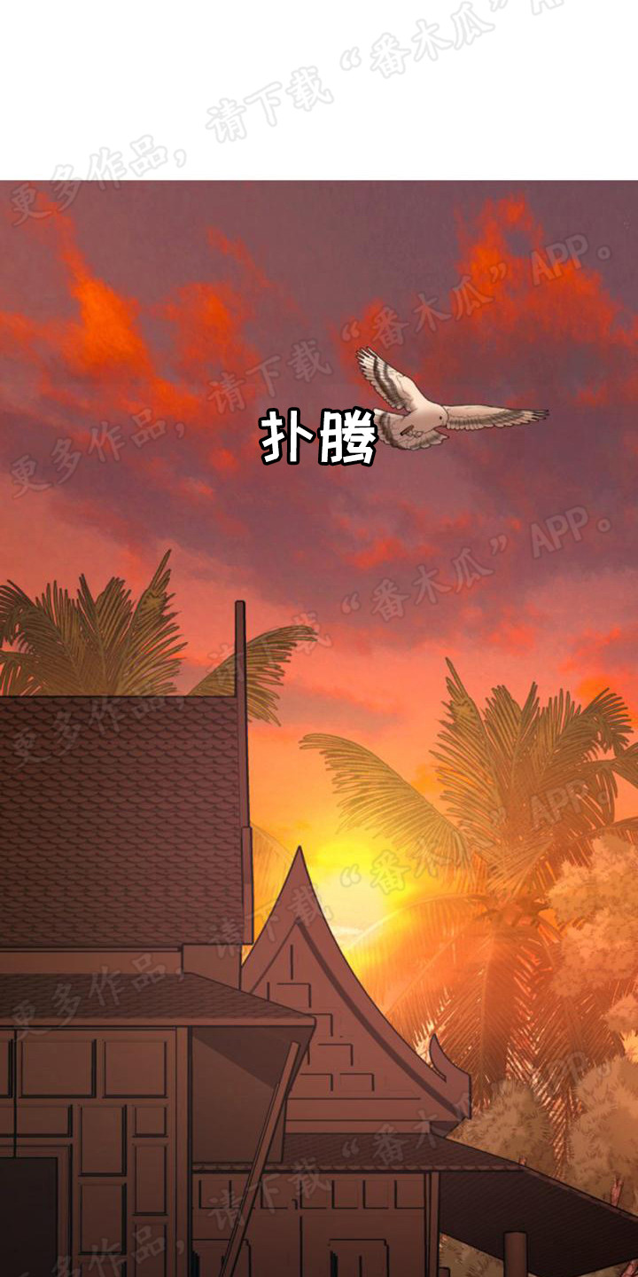 第29章：报信13