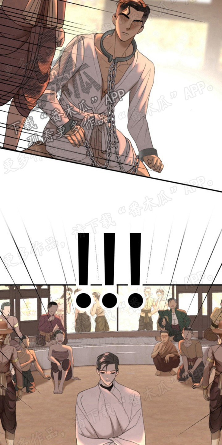 第56章：证人15