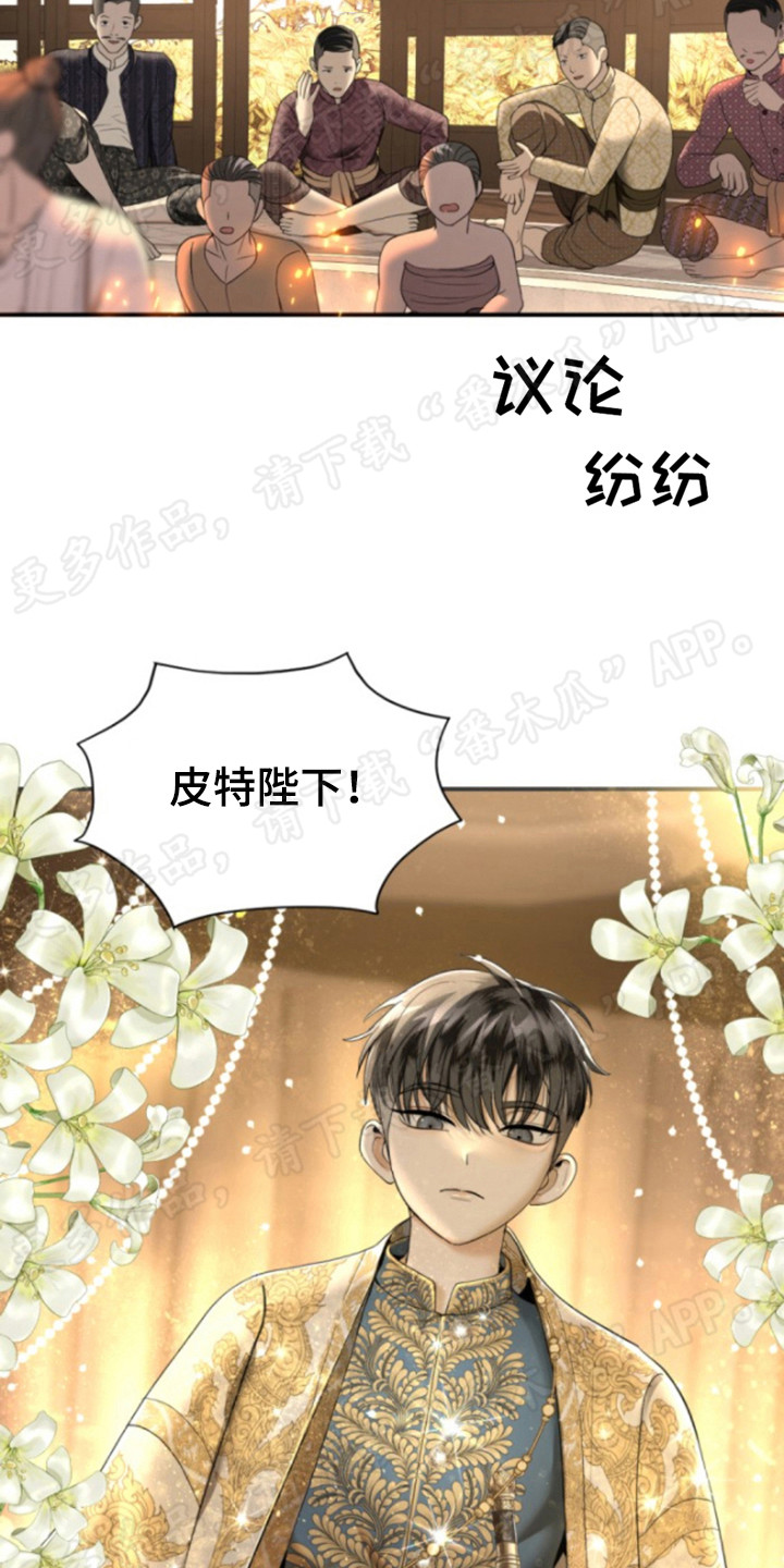 第55章：仪式当天9