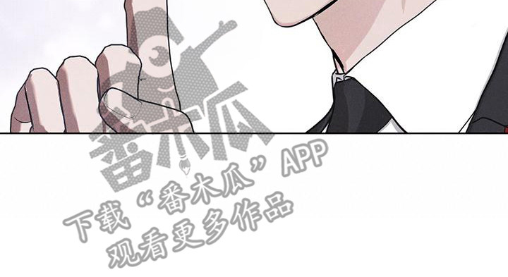 第12章：打赌19