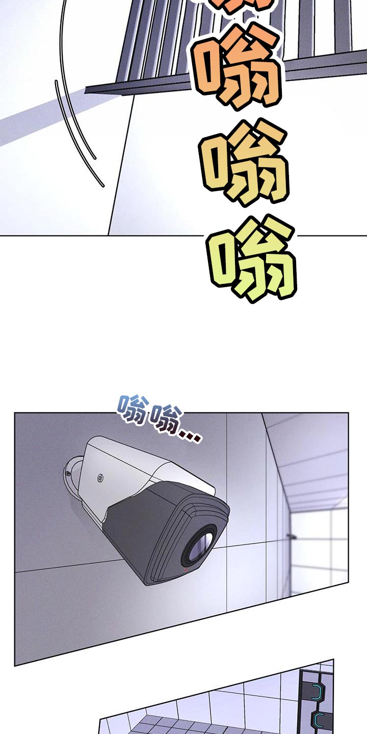第35章：不是真实情况15