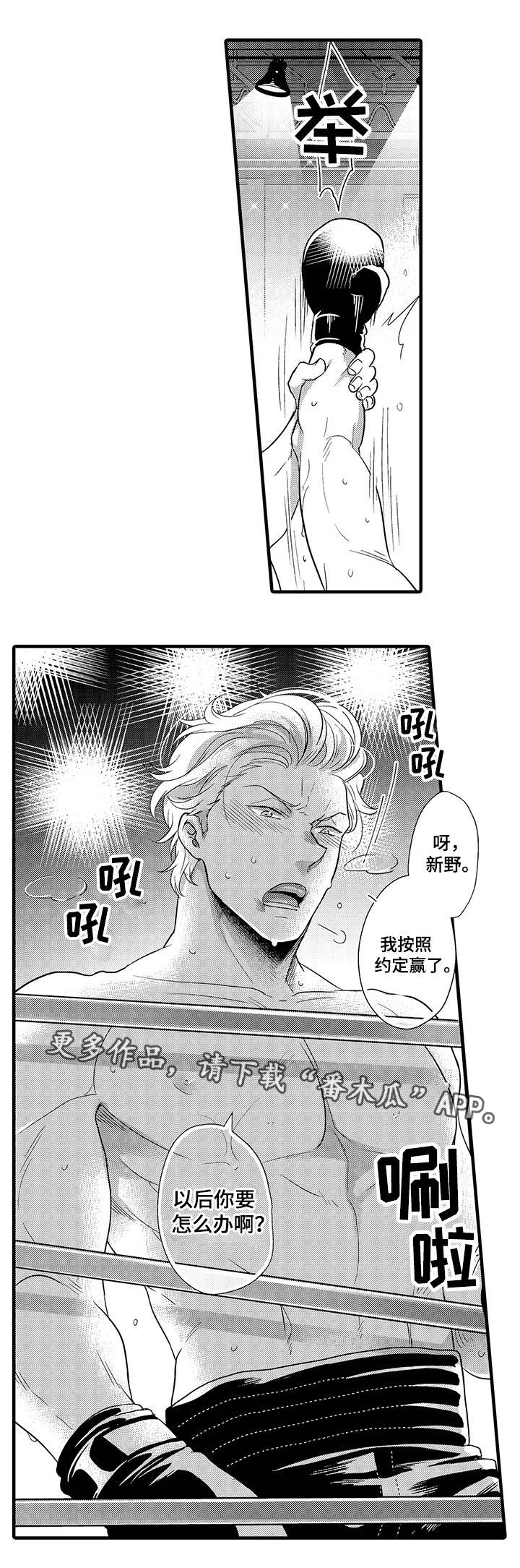 第26章：意想不到8
