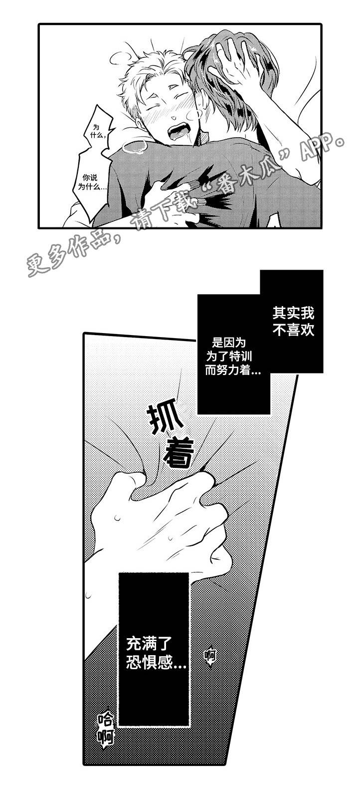 第28章：实战经验12