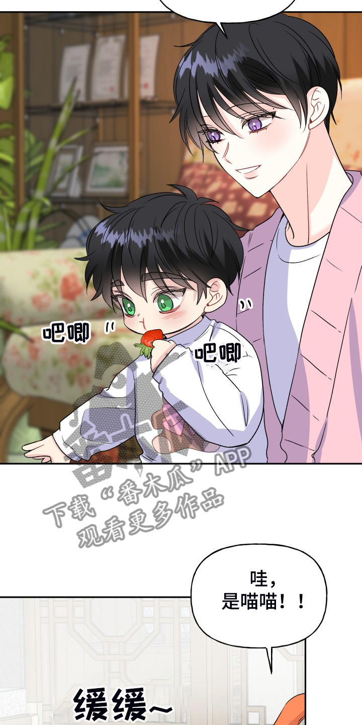 第116章：【完结】合家欢乐5