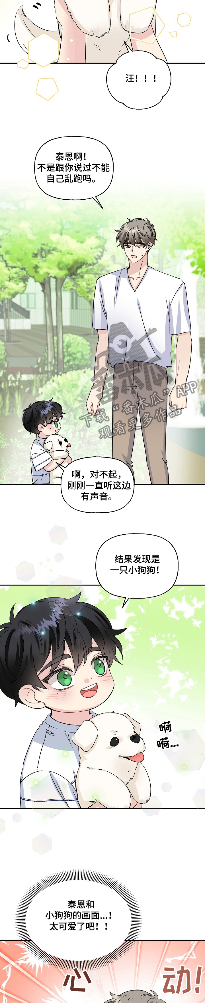第78章：捡到小狗狗3