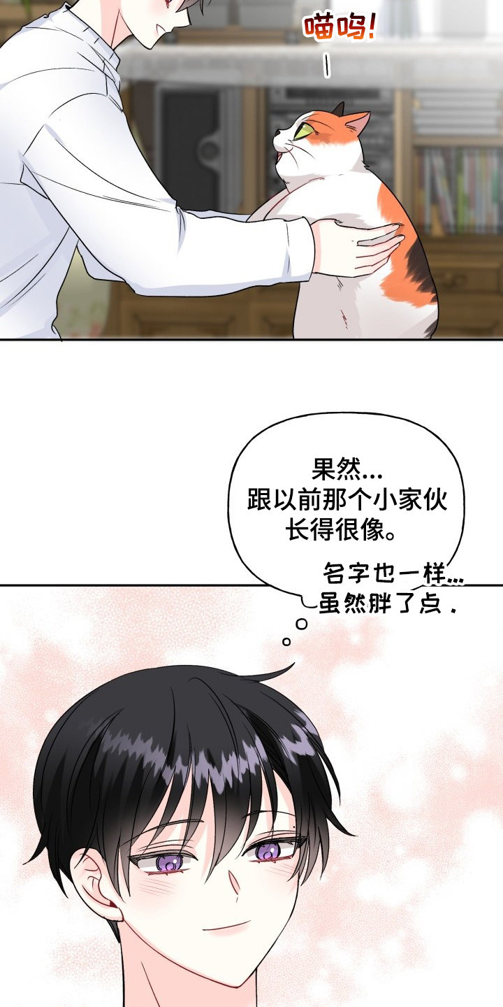 第103章：好像喵喵11