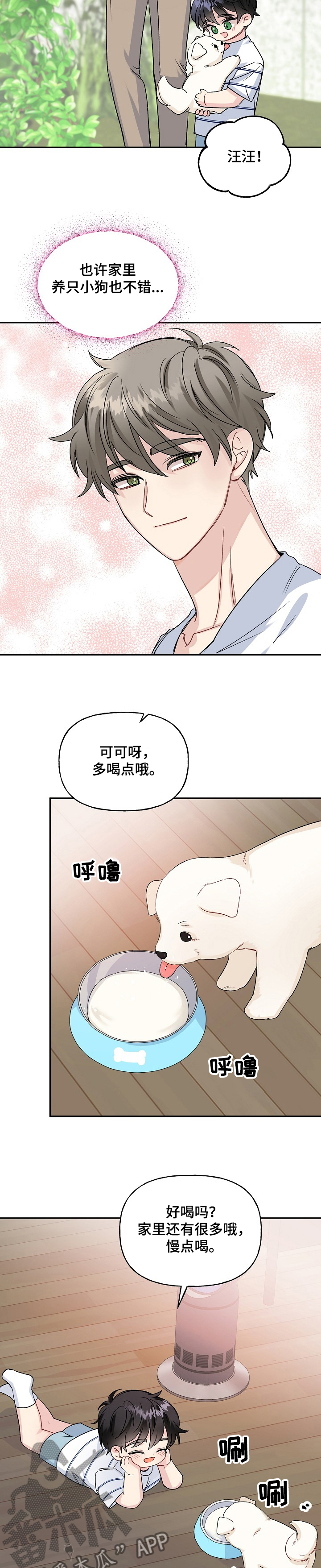 第78章：捡到小狗狗6