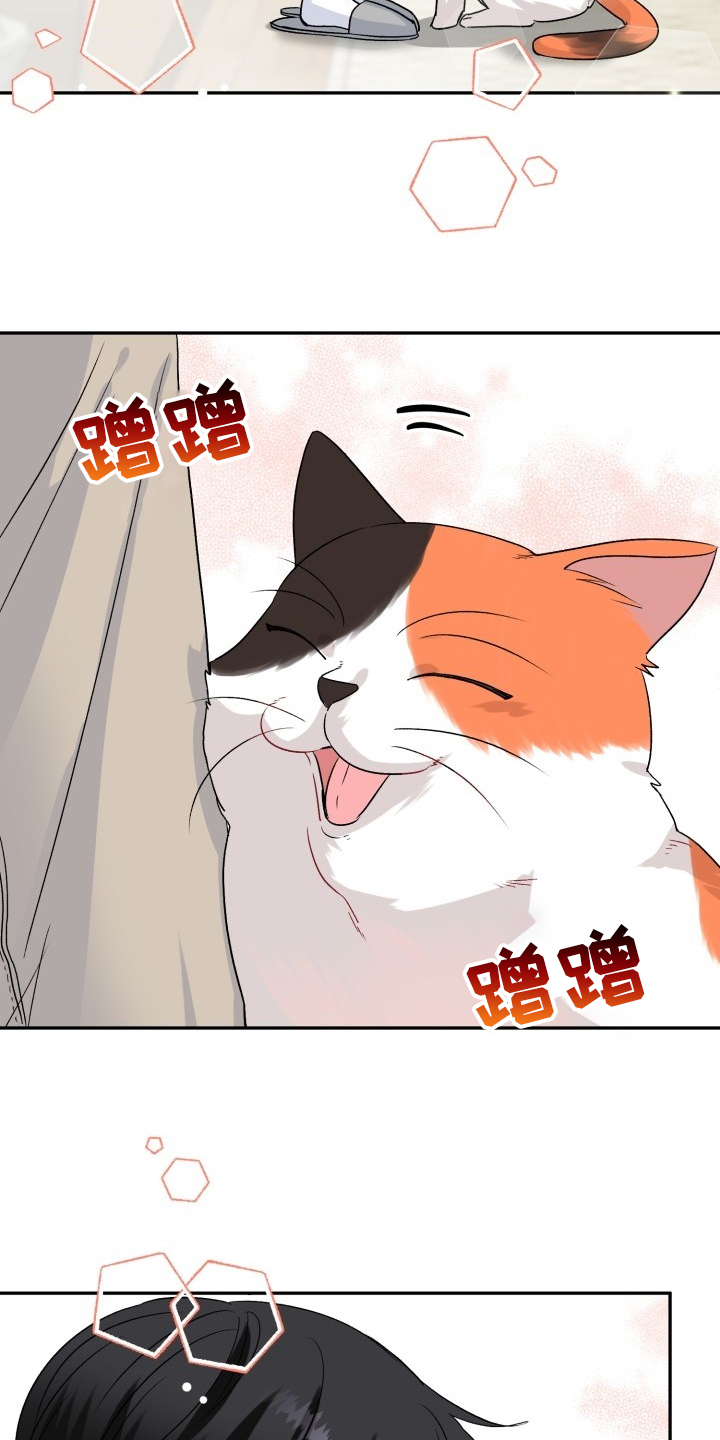 第103章：好像喵喵9
