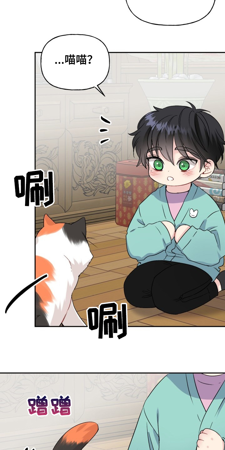 第103章：好像喵喵3