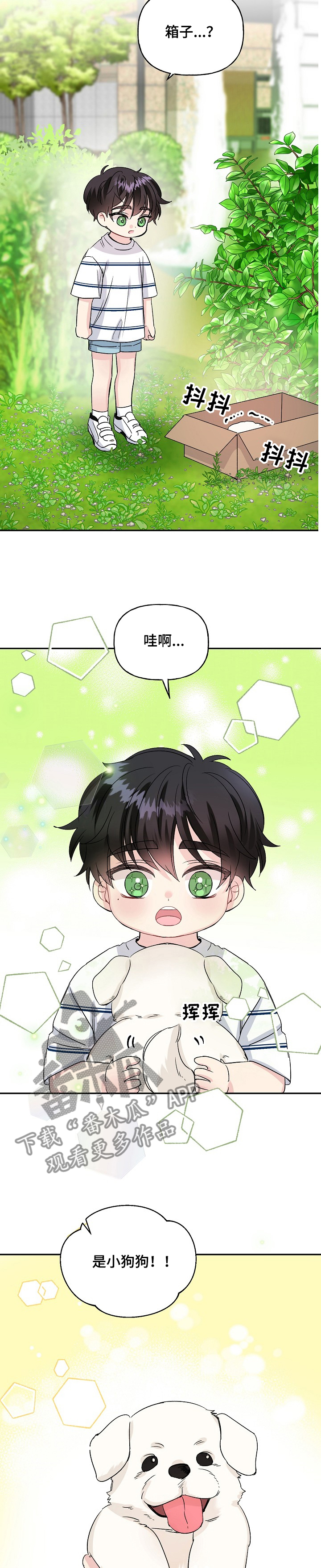 第78章：捡到小狗狗2