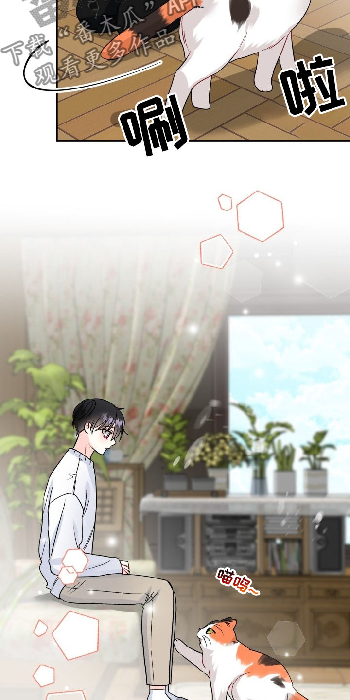 第103章：好像喵喵8